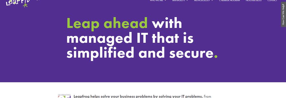 Leapfrog Services cover
