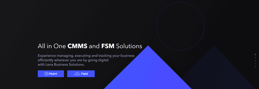 Lena Business Solutions cover