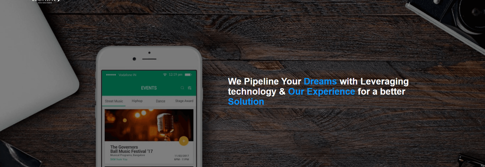 Leonine Info Solutions cover