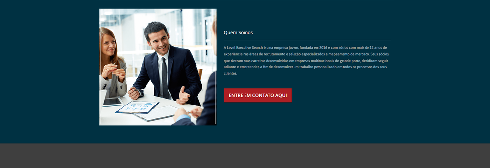 Level Executive Search cover