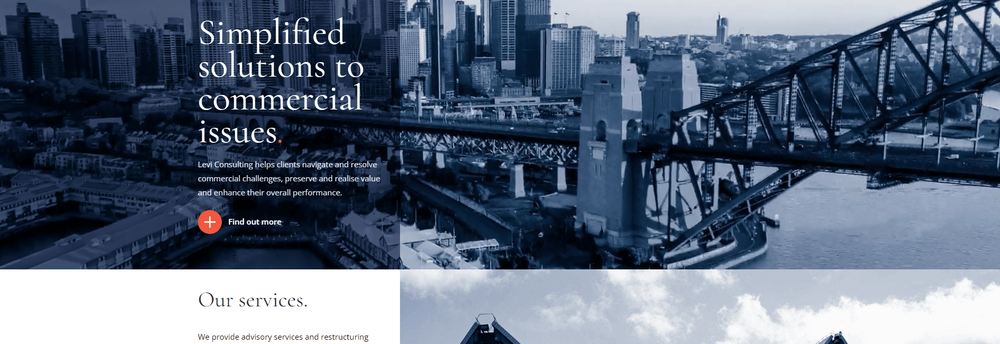 Levi Consulting cover