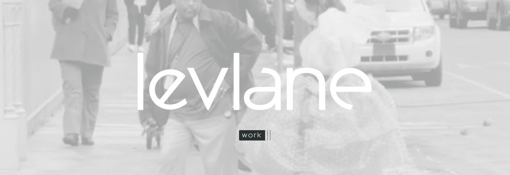 LevLane Advertising cover