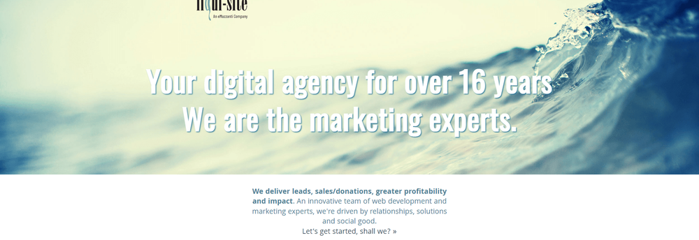 Liqui-Site cover