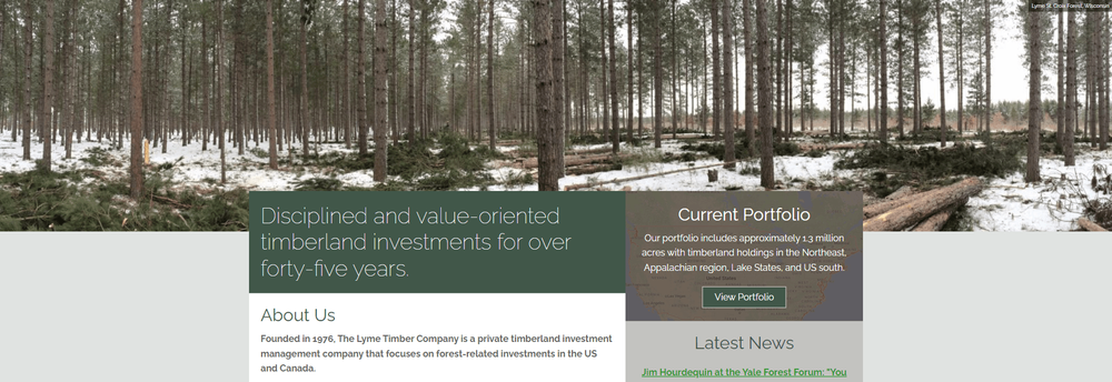 Lyme Timber Company cover