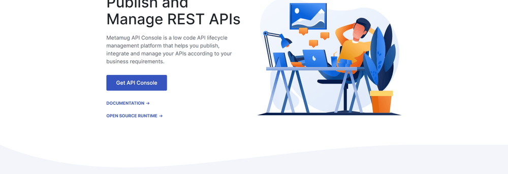 Metamug API Console cover