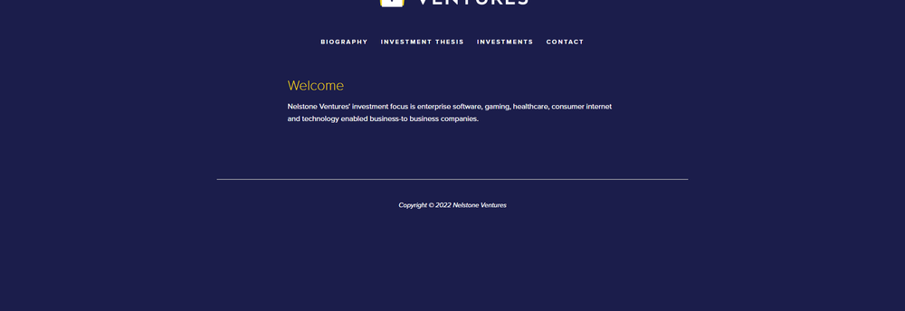 Nelstone Ventures cover