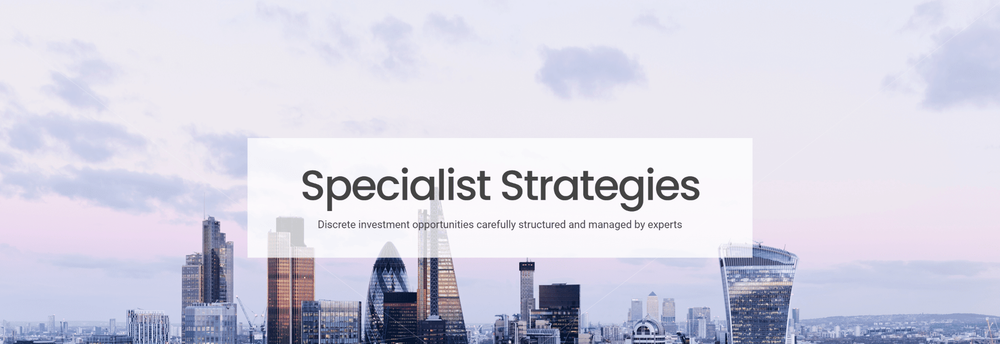 Polygon Investment Partners cover