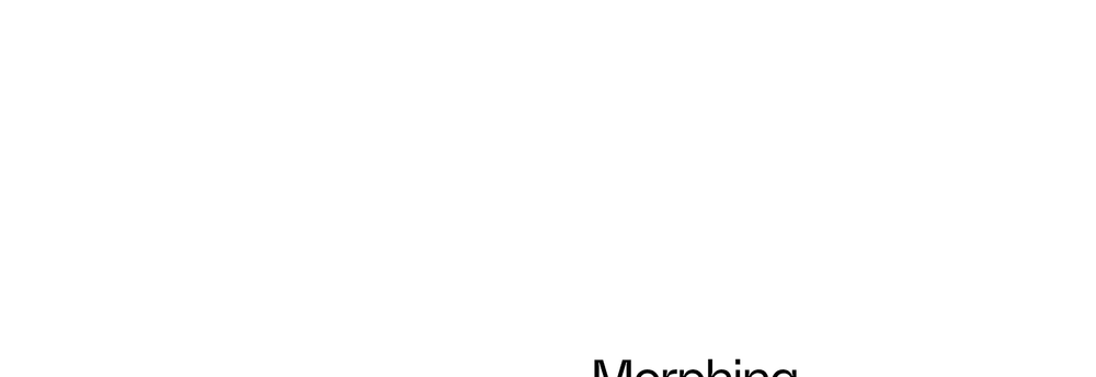 Polymorphic Capital cover