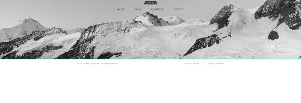 Strive Capital cover