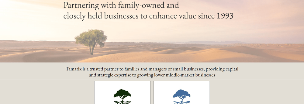 Tamarix Capital cover