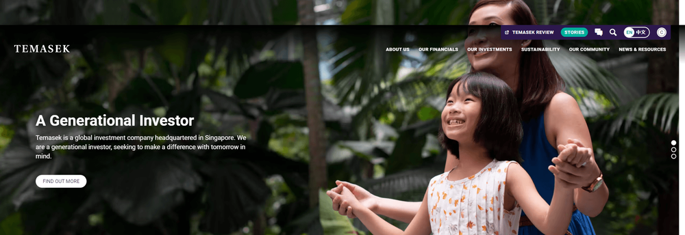 Temasek Holdings cover
