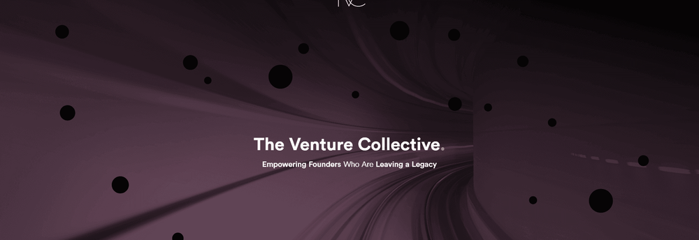 The Venture Collective cover
