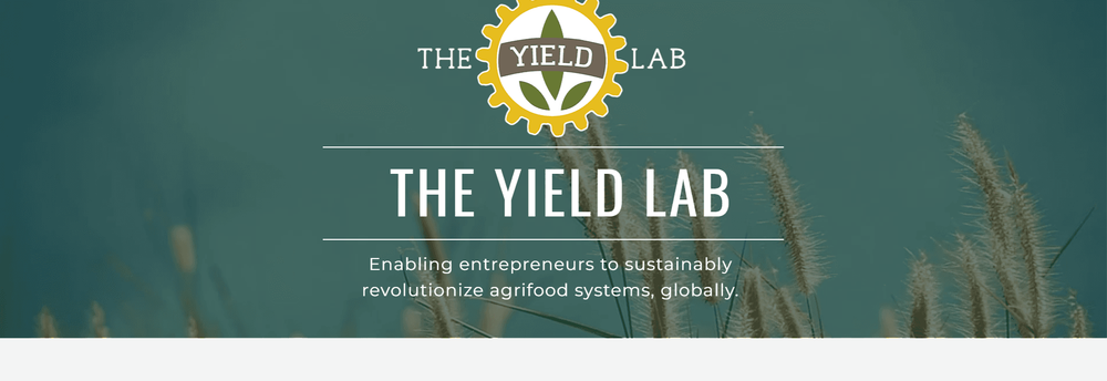 The Yield Lab cover