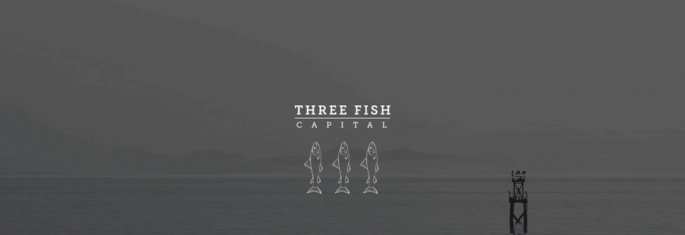 Three Fish Capital cover