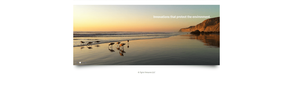 Tigris Ventures LLC cover