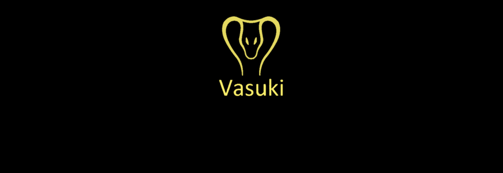 Vasuki Global Tech Fund cover