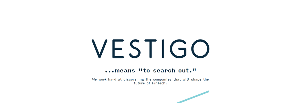Vestigo Ventures cover