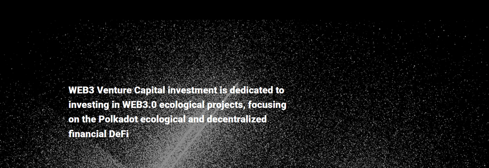 WEB3 Venture Capital cover