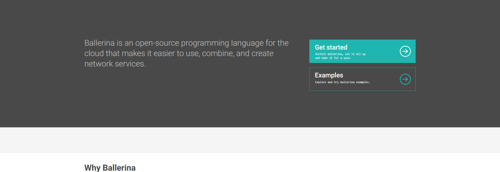 WSO2 API management cover