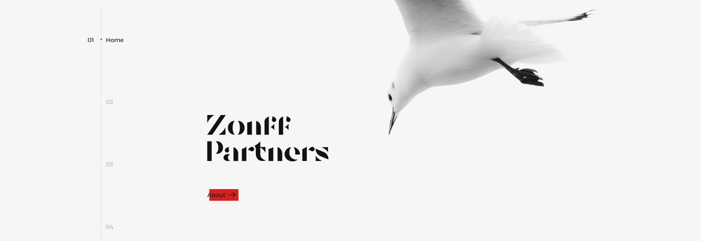Zonff Partners cover