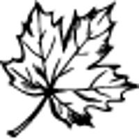 AccountingImpôts - Martin Paradis, CPA logo