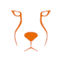 Acinonyx Web Agency logo