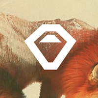 Acorn Studio logo