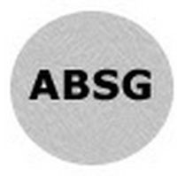 ActNow Business Solutions Group logo