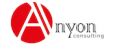 Anyon Consulting logo