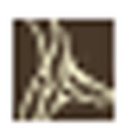 Ariana Fernandez Graphic Designer logo