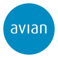 Avian Studio logo