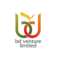 BD Venture Limited logo