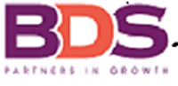 BDS Advisories Private Limited logo