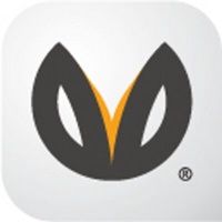 Belong Studio logo