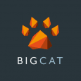 Big Cat Agency logo