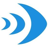 Big Fish Branding logo