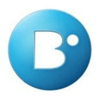 Big Outsource logo