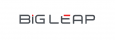 BigLeap logo