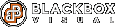 Blackbox Visual logo