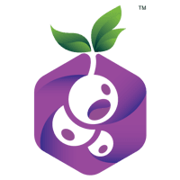 Blackcurrant Labs Pvt. Ltd. logo