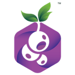 Blackcurrant Labs Pvt. Ltd.