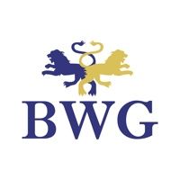 Blake Willson Group, LLC logo