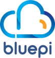 BluePi Consulting Pvt. Ltd. logo