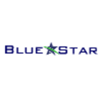 BlueStar Technology Solutions logo