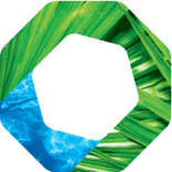 BMS Consulting