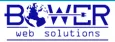Bower Web Solutions logo