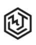 Brain Tank logo