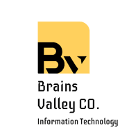 Brains Valley Information Technology logo