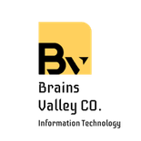 Brains Valley Information Technology