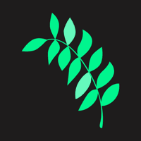 Branchleaf Digital logo